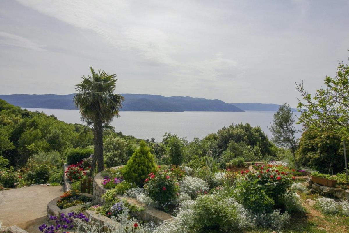 Villa Paradiso In Plomin - Istrien Extérieur photo